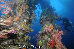 This is a shot of the King Posts on  a Japenese wreck at ... by Ken Thate 
